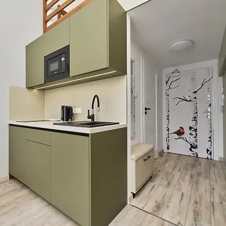 Airport Zarembowicza By Renters